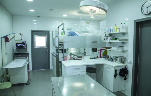 Clínica Veterinaria Santo Domingo